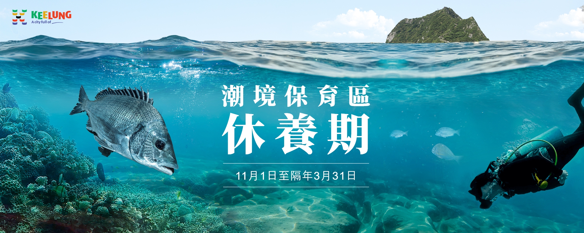 潮境保育區休養期